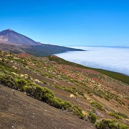 Hotel Meliá Jardines Del Teide 5*