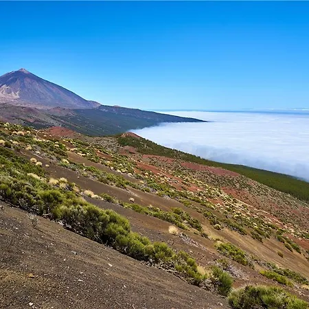 Meliá Jardines Del Teide Hotel